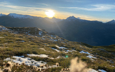 Coaching im Naturraum